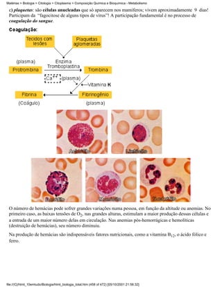Matérias > Biologia > Citologia > Citoplasma > Composição Química e Bioquímica - Metabolismo

 c) plaquetas: são células anucleadas que só aparecem nos mamíferos; vivem aproximadamente 9 dias!
 Participam da “fagocitose de alguns tipos de vírus”! A participação fundamental é no processo de
 coagulação do sangue.




 O número de hemácias pode sofrer grandes variações numa pessoa, em função da altitude ou anemias. No
 primeiro caso, as baixas tensões de O2, nas grandes alturas, estimulam a maior produção dessas células e
 a entrada de um maior número delas em circulação. Nas anemias pós-hemorrágicas e hemolíticas
 (destruição de hemácias), seu número diminuiu.
 Na produção de hemácias são indispensáveis fatores nutricionais, como a vitamina B12, o ácido fólico e
 ferro.




file:///C|/html_10emtudo/Biologia/html_biologia_total.htm (458 of 472) [05/10/2001 21:56:32]
 