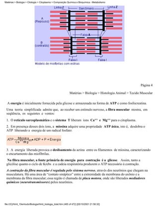Matérias > Biologia > Citologia > Citoplasma > Composição Química e Bioquímica - Metabolismo




                                                                                                              Página 4

                                                              Matérias > Biologia > Histologia Animal > Tecido Muscular


  A energia é inicialmente fornecida pela glicose e armazenada na forma de ATP e como fosfocreatina.
 Uma teoria simplificada admite que, ao receber um estímulo nervoso, a fibra muscular mostra, em
 seqüência, os seguintes e ventos:
 1. O retículo sarcoplasmático e o sistema T liberam íons Ca++ e Mg++ para o citoplasma.
 2. Em presença desses dois íons, a miosina adquire uma propriedade ATP ásica, isto é, desdobra o
 ATP liberando a energia de um radical fosfato:




 3. A energia liberada provoca o deslisamento da actina entre os filamentos de miosina, caracterizando
 o encurtamento das miofibrilas.
  Na fibra muscular, a fonte primária de energia para contração é a glicose. Assim, tanto a
 glicólise quanto o ciclo de Krebs e a cadeia respiratória produzem o ATP necessário à contração.
 A contração da fibra muscular é regulada pelo sistema nervoso, através dos neurônios que chegam na
 musculatura. Há uma área de “contato sináptico” entre a extremidade da membrana do axônio e a
 membrana da fibra muscular; essa região é chamada de placa motora, onde são liberados mediadores
 químicos (neurotransmissores) pelos neurônios.




file:///C|/html_10emtudo/Biologia/html_biologia_total.htm (465 of 472) [05/10/2001 21:56:32]
 