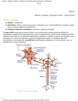 Matérias > Biologia > Citologia > Citoplasma > Composição Química e Bioquímica - Metabolismo

                                                                     56_8



                                                                                                               Página 1

                                                                Matérias > Biologia > Histologia Animal > Tecido Nervoso


 TECIDO NERVOSO
   q Origem: ectodérmica.

   q Ocorrência: forma o sistema nervoso que, juntamente com o sistema endócrino, comanda e regula
     todas as funções orgânicas (metabolismo).
   q Principais elementos constituintes: neurônios e células da neuróglia.

 O corpo celular apresenta um núcleo esférico, com nucléolo bem evidente;grande quantidade de
 mitocôndrias; complexo de Golgi perinuclear; retículo endoplasmático desenvolvido; substância basófila
 (substância de Nissl), que se apresenta distribuída no citoplasma e também no interior dos dendritos, mas
 não aparece no axônio; corresponde ao retículo endoplasmático rugoso. O citoplasma apresenta
 microtúbulos e um conjunto de neurofibrilas (neurofilamentos) dispostas em várias direções, que se
 estendem pelo axônio e dendritos.




file:///C|/html_10emtudo/Biologia/html_biologia_total.htm (466 of 472) [05/10/2001 21:56:32]
 