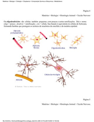 Matérias > Biologia > Citologia > Citoplasma > Composição Química e Bioquímica - Metabolismo




                                                                                                               Página 4

                                                                Matérias > Biologia > Histologia Animal > Tecido Nervoso


 Os oligodendrócitos são células também pequenas, com poucas e curtas ramificações. Daí o nome:
 oligo = pouco; dendron = ramificação; cito = célula. Sua função é equivalente às células de Schwann,
 formando bainhas que protegem os axônios de neurônios do encéfalo e da medula espinhal.




                                                                                                               Página 5

                                                                Matérias > Biologia > Histologia Animal > Tecido Nervoso




file:///C|/html_10emtudo/Biologia/html_biologia_total.htm (468 of 472) [05/10/2001 21:56:32]
 