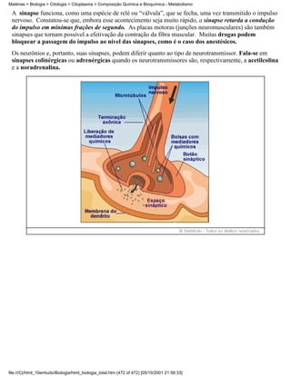 Matérias > Biologia > Citologia > Citoplasma > Composição Química e Bioquímica - Metabolismo

 A sinapse funciona, como uma espécie de relé ou “válvula”, que se fecha, uma vez transmitido o impulso
 nervoso. Constatou-se que, embora esse acontecimento seja muito rápido, a sinapse retarda a condução
 do impulso em mínimas frações de segundo. As placas motoras (junções neuromusculares) são também
 sinapses que tornam possível a efetivação da contração da fibra muscular. Muitas drogas podem
 bloquear a passagem do impulso ao nível das sinapses, como é o caso dos anestésicos.
 Os neurônios e, portanto, suas sinapses, podem diferir quanto ao tipo de neurotransmissor. Fala-se em
 sinapses colinérgicas ou adrenérgicas quando os neurotransmissores são, respectivamente, a acetilcolina
 e a noradrenalina.




file:///C|/html_10emtudo/Biologia/html_biologia_total.htm (472 of 472) [05/10/2001 21:56:33]
 