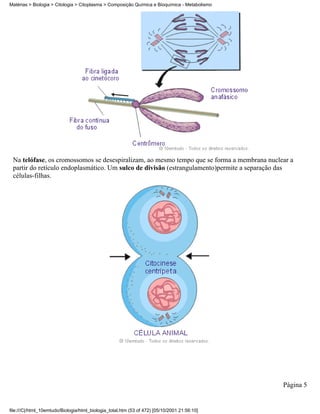 Matérias > Biologia > Citologia > Citoplasma > Composição Química e Bioquímica - Metabolismo




 Na telófase, os cromossomos se desespiralizam, ao mesmo tempo que se forma a membrana nuclear a
 partir do retículo endoplasmático. Um sulco de divisão (estrangulamento)permite a separação das
 células-filhas.




                                                                                               Página 5


file:///C|/html_10emtudo/Biologia/html_biologia_total.htm (53 of 472) [05/10/2001 21:56:10]
 
