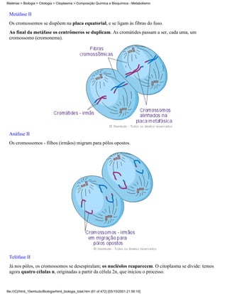 Matérias > Biologia > Citologia > Citoplasma > Composição Química e Bioquímica - Metabolismo


 Metáfase II
 Os cromossomos se dispõem na placa equatorial, e se ligam às fibras do fuso.
 Ao final da metáfase os centrômeros se duplicam. As cromátides passam a ser, cada uma, um
 cromossomo (cromonema).




 Anáfase II
 Os cromossomos - filhos (irmãos) migram para pólos opostos.




 Telófase II
 Já nos pólos, os cromossomos se desespiralam; os nucléolos reaparecem. O citoplasma se divide: temos
 agora quatro células n, originadas a partir da célula 2n, que iniciou o processo.


file:///C|/html_10emtudo/Biologia/html_biologia_total.htm (61 of 472) [05/10/2001 21:56:10]
 