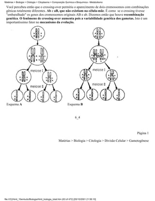Matérias > Biologia > Citologia > Citoplasma > Composição Química e Bioquímica - Metabolismo

 Você percebeu então que o crossing-over permitiu o aparecimento de dois cromossomos com combinações
 gênicas totalmente diferentes. Ab e aB, que não existiam na célula-mãe. É como se o crossing tivesse
 "embaralhado" os genes dos cromossomos originais AB e ab. Dizemos então que houve recombinação
 genética. O fenômeno de crossing-over aumenta pois a variabilidade genética dos gametas. Isto é um
 importantíssimo fator no mecanismo da evolução.




 Esquema A                                                    Esquema B


                                                                      6_4



                                                                                                            Página 1

                                                     Matérias > Biologia > Citologia > Divisão Celular > Gametogênese




file:///C|/html_10emtudo/Biologia/html_biologia_total.htm (63 of 472) [05/10/2001 21:56:10]
 