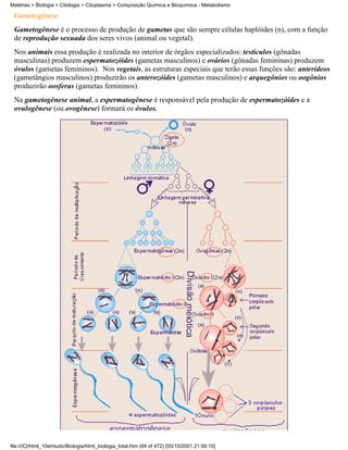 Matérias > Biologia > Citologia > Citoplasma > Composição Química e Bioquímica - Metabolismo

 Gametogênese
 Gametogênese é o processo de produção de gametas que são sempre células haplóides (n), com a função
 de reprodução sexuada dos seres vivos (animal ou vegetal).
 Nos animais essa produção é realizada no interior de órgãos especializados: testículos (gônadas
 masculinas) produzem espermatozóides (gametas masculinos) e ovários (gônadas femininas) produzem
 óvulos (gametas femininos). Nos vegetais, as estruturas especiais que terão essas funções são: anterídeos
 (gametângios masculinos) produzirão os anterozóides (gametas masculinos) e arquegônios ou oogônios
 produzirão oosferas (gametas femininos).
 Na gametogênese animal, a espermatogênese é responsável pela produção de espermatozóides e a
 ovulogênese (ou ovogênese) formará os óvulos.




file:///C|/html_10emtudo/Biologia/html_biologia_total.htm (64 of 472) [05/10/2001 21:56:10]
 