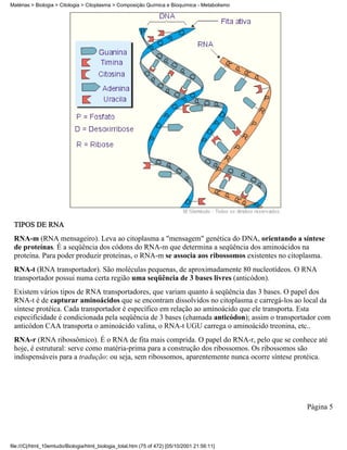 Matérias > Biologia > Citologia > Citoplasma > Composição Química e Bioquímica - Metabolismo




 TIPOS DE RNA
 RNA-m (RNA mensageiro). Leva ao citoplasma a "mensagem" genética do DNA, orientando a síntese
 de proteínas. É a seqüência dos códons do RNA-m que determina a seqüência dos aminoácidos na
 proteína. Para poder produzir proteínas, o RNA-m se associa aos ribossomos existentes no citoplasma.
 RNA-t (RNA transportador). São moléculas pequenas, de aproximadamente 80 nucleotídeos. O RNA
 transportador possui numa certa região uma seqüência de 3 bases livres (anticódon).
 Existem vários tipos de RNA transportadores, que variam quanto à seqüência das 3 bases. O papel dos
 RNA-t é de capturar aminoácidos que se encontram dissolvidos no citoplasma e carregá-los ao local da
 síntese protéica. Cada transportador é específico em relação ao aminoácido que ele transporta. Esta
 especificidade é condicionada pela seqüência de 3 bases (chamada anticódon); assim o transportador com
 anticódon CAA transporta o aminoácido valina, o RNA-t UGU carrega o aminoácido treonina, etc..
 RNA-r (RNA ribossômico). É o RNA de fita mais comprida. O papel do RNA-r, pelo que se conhece até
 hoje, é estrutural: serve como matéria-prima para a construção dos ribossomos. Os ribossomos são
 indispensáveis para a tradução: ou seja, sem ribossomos, aparentemente nunca ocorre síntese protéica.




                                                                                               Página 5




file:///C|/html_10emtudo/Biologia/html_biologia_total.htm (75 of 472) [05/10/2001 21:56:11]
 