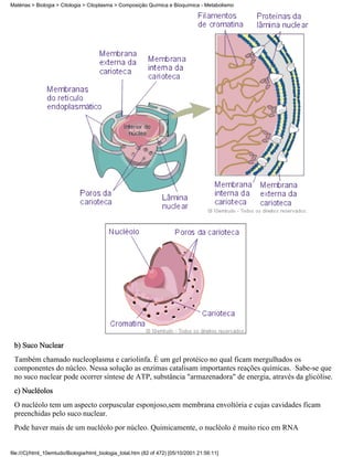 Matérias > Biologia > Citologia > Citoplasma > Composição Química e Bioquímica - Metabolismo




 b) Suco Nuclear
 Também chamado nucleoplasma e cariolinfa. É um gel protéico no qual ficam mergulhados os
 componentes do núcleo. Nessa solução as enzimas catalisam importantes reações químicas. Sabe-se que
 no suco nuclear pode ocorrer síntese de ATP, substância "armazenadora" de energia, através da glicólise.
 c) Nucléolos
 O nucléolo tem um aspecto corpuscular esponjoso,sem membrana envoltória e cujas cavidades ficam
 preenchidas pelo suco nuclear.
 Pode haver mais de um nucléolo por núcleo. Quimicamente, o nucléolo é muito rico em RNA


file:///C|/html_10emtudo/Biologia/html_biologia_total.htm (82 of 472) [05/10/2001 21:56:11]
 