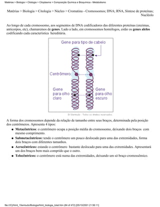 Matérias > Biologia > Citologia > Citoplasma > Composição Química e Bioquímica - Metabolismo


  Matérias > Biologia > Citologia > Núcleo > Cromatina - Cromossomos; DNA; RNA, Síntese de proteínas;
                                                                                            Nucléolo


 Ao longo de cada cromossomo, aos segmentos de DNA codificadores das diferentes proteínas (enzimas,
 anticorpos, etc), chamaremos de genes. Lado a lado, em cromossomos homólogos, estão os genes alelos
 codificando cada característica hereditária.




 A forma dos cromossomos depende da relação de tamanho entre seus braços, determinada pela posição
 dos centrômeros. Apresenta 4 tipos:
    q Metacêntricos: o centrômero ocupa a posição média do cromossomo, deixando dois braços com
       mesmo comprimento.
    q Submetacêntricos: tendo o centrômero um pouco deslocado para uma das extremidades, forma
       dois braços com diferentes tamanhos.
    q Acrocêntricos: estando o centrômero bastante deslocado para uma das extremidades. Apresentará
       um dos braços bem mais comprido que o outro.
    q Telocêntricos: o centrômero está numa das extremidades, deixando um só braço cromossômico.




file:///C|/html_10emtudo/Biologia/html_biologia_total.htm (84 of 472) [05/10/2001 21:56:11]
 