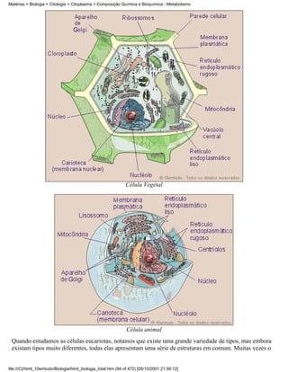 Matérias > Biologia > Citologia > Citoplasma > Composição Química e Bioquímica - Metabolismo




                                                              Célula Vegetal




                                                               Célula animal
 Quando estudamos as células eucariotas, notamos que existe uma grande variedade de tipos, mas embora
 existam tipos muito diferentes, todas elas apresentam uma série de estruturas em comum. Muitas vezes o


file:///C|/html_10emtudo/Biologia/html_biologia_total.htm (94 of 472) [05/10/2001 21:56:12]
 