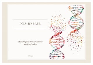 DNA REPAIR
Maria Angélica Zapata González
Medicine Student
 