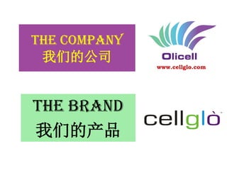 THE COMPANy
我们的公司
THE BRAND
我们的产品
www.cellglo.com
 