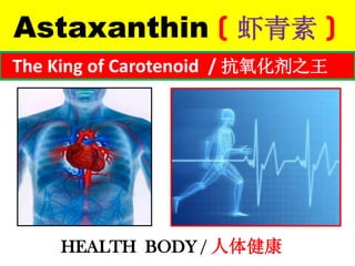 The King of Carotenoid / 抗氧化剂之王
HEALTH BODY / 人体健康
Astaxanthin ( 虾青素 )
 