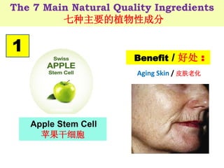 The 7 Main Natural Quality Ingredients
七种主要的植物性成分
Apple Stem Cell
苹果干细胞
Benefit / 好处 :
1
Aging Skin / 皮肤老化
 