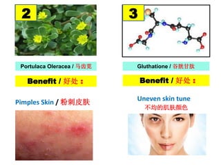 Portulaca Oleracea / 马齿苋 Gluthatione / 谷胱甘肽
Benefit / 好处 : Benefit / 好处 :
2 3
Pimples Skin / 粉刺皮肤 Uneven skin tune
不均的肌肤颜色
 