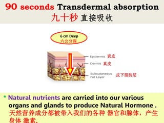 90 seconds Transdermal absorption
九十秒 直接吸收
* Natural nutrients are carried into our various
organs and glands to produce Natural Hormone .
天然营养成分都被带入我们的各种 器官和腺体，产生
身体 激素.
表皮
真皮
皮下脂肪层
6 cm Deep
六公分深
 