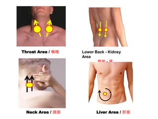 Throat Area / 喉咙
Neck Area / 颈部
Lower Back - Kidney
Area
背部 - 肾
Liver Area / 肝部
 