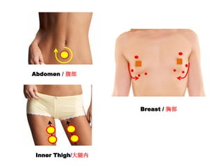 Abdomen / 腹部
Inner Thigh/大腿内
Breast / 胸部
 