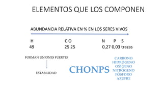 Chonps Bioelementos PPT Organizacion molecular de la celula Bio 91 UBA | PDF