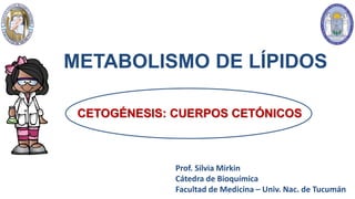 METABOLISMO DE LÍPIDOS
Prof. Silvia Mirkin
Cátedra de Bioquímica
Facultad de Medicina – Univ. Nac. de Tucumán
CETOGÉNESIS: CUERPOS CETÓNICOS
 