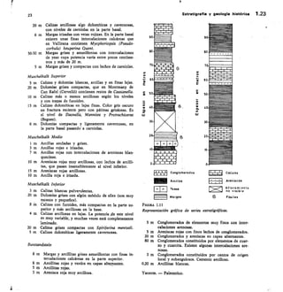 <0
30
10
0
-
Conglonverados
Arcillas
Yesos
Margas
Calizas
Areniscas
Al lorami ento
no visible
0 Fósiles
1»
--11•1
><I
23
20 m Calizas arcillosas algo dolomíticas y cavernosas,
con niveles de carniolas en la parte basal.
6m Margas irisadas con vetas rojizas. En la parte basal
existen unas finas intercalaciones calcáreas que
en Vallirana contienen Myophoriopsis (Pseudo-
corbula) keuperina Quent.
50-30 m Margas grises y amarillentas con intercalaciones
de yeso cuya potencia varía entre pocos centíme-
tros y más de 20 m.
5 m Margas grises y compactas con lechos de carniolas.
Muschelkalk Superior
5 m Calizas y dolomías blancas, arcillas y en finas lajas.
20 m Dolomías grises compactas, que en Montmany de
Can Rafel (Cervelló) contienen restos de Cassianella.
10 m Calizas más o menos arcillosas según los niveles
y con trazas de fucoides.
15 m Calizas dolomíticas en lajas finas. Color gris oscuro
en fractura reciente pero con pátinas grisáceas. Es
el nivel de Daonella, Mannites y Protrachiceras
(Begues).
6 m Dolomfas compactas y ligeramente cavernosas, en
la parte basal pasando a camiolas.
Muschelkalk Medio
m Arcillas azuladas y grises.
3 m Arcillas rojas e irisadas.
7 m Arcillas rojas con intercalaciones de areniscas blan-
quecinas.
10 m Areniscas rojas muy arcillosas, con lechos de arcilli-
tas, que pasan insensiblemente al nivel inferior.
15 m Areniscas rojas arcillosas.
10 m Arcilla roja e irisada.
Muschelkalk Inferior
3 m Calizas blancas pulverulentas.
20 m Dolomías grises con algún módulo de silex (son muy
escasos y pequeños).
8 M Calizas con fucoides, más compactas en la parte su-
perior y más arcillosas en la base.
4 m Calizas arcillosas en lajas. La potencia ,de este nivel
es muy variable, y muchas veces está completamente
laminado.
20 m Calizas grises compactas con Spiri ferina mentzeli.
5 m Calizas dolotníticas ligeramente cavernosas.
Buntsandstein
8 m Margas y arcillitas grises amarillentas con finas in-
tercalaciones calcáreas en la parte superior.
8 m Arcillitas rojas y verdes en capas alteTantes.
5 m Arcillitas rojas.
3 m. Arenisca roja muy arcillosa.
Estratigrafía y geología histórica 1.23
FIGURA 1.11
Representación gráfica de series estratigráficas.
5 m Conglomerados de elementos muy finos con inter-
calaciones arenosas.
5 m Areniscas rojas con finos lechos de conglomerados.
20 m Conglomerados y areniscas en capas alternantes.
80 m Conglomerados constituidos por elementos de cuar-
zo y cuarcita. Existen algunas intercalaciones are-
nosas.
3 m Conglomerados constituidos por cantos de origen
local y subangulosos. Cemento arcilloso.
0,20 m Arcillitas blancas.
Yacente. — Paleozoico.
 