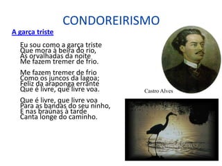 CONDOREIRISMO
A garça triste
Eu sou como a garça triste
Que mora à beira do rio,
As orvalhadas da noite
Me fazem tremer de frio.
Me fazem tremer de frio
Como os juncos da lagoa;
Feliz da araponga errante
Que é livre, que livre voa.
Que é livre, que livre voa
Para as bandas do seu ninho,
E nas braúnas à tarde
Canta longe do caminho.
Castro Alves
 