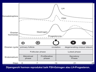 Dipengaruhi hormon reproduksi baik FSH-Estrogen atau LH-Progesteron.
 