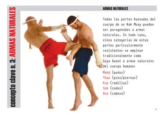 18
concepto
clave
n.
3:
ArmAs
nAturAles
ArmAs nAturAles
Todas las partes huesudas del
cuerpo de un Nak Muay pueden
ser paragonadas a armas
naturales. En todo caso,
cinco categorías de estas
partes particularmente
resistentes se emplean
tradicionalmente como
Gaya Awoot o armas naturales
del cuerpo humano:
Mahd (puños)
Thao (pies/piernas)
Kao (rodillas)
Sok (codos)
Hua (cabeza)
 