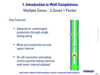 introduction-to-well-completionspdf-pdf-free.pdf