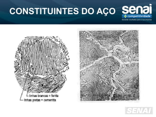 CONSTITUINTES DO AÇO
 