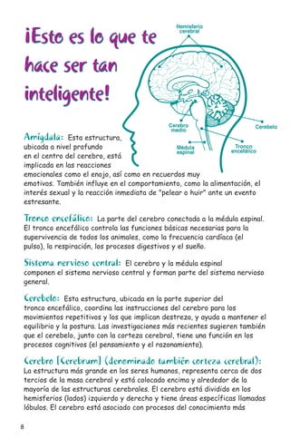 ¡Esto es lo que te
hace ser tan
inteligente!
¡Esto es lo que te
hace ser tan
inteligente!
Amígdala: Esta estructura,
ubicada a nivel profundo
en el centro del cerebro, está
implicada en las reacciones
emocionales como el enojo, así como en recuerdos muy
emotivos. También influye en el comportamiento, como la alimentación, el
interés sexual y la reacción inmediata de "pelear o huir" ante un evento
estresante.
Tronco encefálico: La parte del cerebro conectada a la médula espinal.
El tronco encefálico controla las funciones básicas necesarias para la
supervivencia de todos los animales, como la frecuencia cardíaca (el
pulso), la respiración, los procesos digestivos y el sueño.
Sistema nervioso central: El cerebro y la médula espinal
componen el sistema nervioso central y forman parte del sistema nervioso
general.
Cerebelo: Esta estructura, ubicada en la parte superior del
tronco encefálico, coordina las instrucciones del cerebro para los
movimientos repetitivos y los que implican destreza, y ayuda a mantener el
equilibrio y la postura. Las investigaciones más recientes sugieren también
que el cerebelo, junto con la corteza cerebral, tiene una función en los
procesos cognitivos (el pensamiento y el razonamiento).
Cerebro [Cerebrum] (denominado también corteza cerebral):
La estructura más grande en los seres humanos, representa cerca de dos
tercios de la masa cerebral y está colocado encima y alrededor de la
mayoría de las estructuras cerebrales. El cerebro está dividido en los
hemisferios (lados) izquierdo y derecho y tiene áreas específicas llamadas
lóbulos. El cerebro está asociado con procesos del conocimiento más
8
 