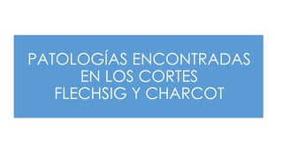 PATOLOGÍAS ENCONTRADAS
EN LOS CORTES
FLECHSIG Y CHARCOT
 
