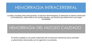 HEMORRAGIA INTRACEREBRAL
La edad, el estado clínico del paciente, el volumen del hematoma, la extensión al sistema ventricular
y la localización, sobre todo en los núcleos basales, son factores que determinan una mayor
mortalidad.
El núcleo caudado es una parte importante del circuito que conecta las zonas corticales
y subcorticales relacionadas con la cognición y la conducta.
HEMORRAGIA DEL NUCLEO CAUDADO
 
