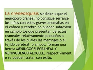 La creneosquisis se debe a que el
neuroporo craneal no consigue serrarse
los niños con estas graves anomalías en
el cráneo y cerebro no pueden sobrevivir
en cambio los que presentan defectos
craneales relativamente pequeños a
través de los cuales las meninges o el
tejido cerebral, o ambos, forman una
hernia MENINGOCELECRANEAL Y
MENINGOENCEFALOCELE, respectivament
e se pueden tratar con éxito.
 