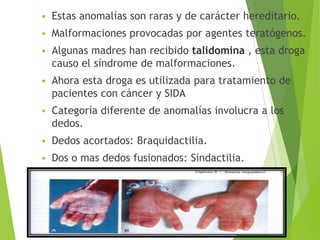  Estas anomalías son raras y de carácter hereditario.
 Malformaciones provocadas por agentes teratógenos.
 Algunas madres han recibido talidomina , esta droga
causo el síndrome de malformaciones.
 Ahora esta droga es utilizada para tratamiento de
pacientes con cáncer y SIDA
 Categoría diferente de anomalías involucra a los
dedos.
 Dedos acortados: Braquidactilia.
 Dos o mas dedos fusionados: Sindactilia.
 