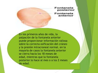 En los primeros años de vida, la
palpación de la fontanela anterior
puede proporcionar información valiosa
sobre la correcta osificación del cráneo
y la presión intracraneal normal. en la
mayoría de casos la fontanela anterior
se cierra hacia los 18 meses de
edad, mientras que la fontanela
posterior lo hace al mes o a los 2 meses
de edad.
 
