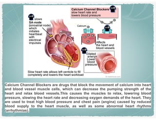 Calcium Channel Blockers are drugs that block the movement of calcium into heart
and blood vessel muscle cells, which can decrease the pumping strength of the
heart and relax blood vessels.This causes the muscles to relax, lowering blood
pressure, slowing the heart rate and decreasing oxygen demands of the heart. They
are used to treat high blood pressure and chest pain (angina) caused by reduced
blood supply to the heart muscle, as well as some abnormal heart rhythms
(arrhythmias).
 