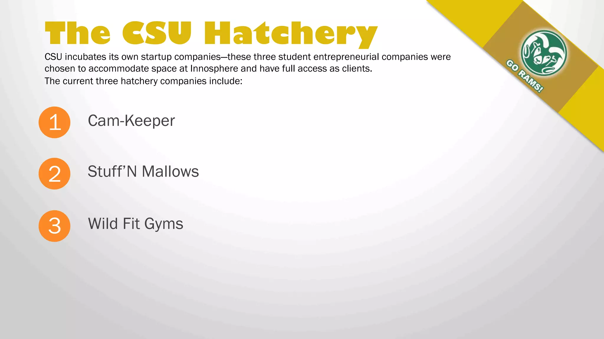 THE CSU HATCHERY
CSU incubates its own startup companies—these three student entrepreneurial
companies were chosen to accommodate space at Innosphere and have full access
as clients. The current three hatchery companies include:
Cam-Keeper1
Stuff’N Mallows2
Wild Fit Gyms3
 
