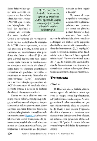 100 Cadernos Técnicos de Veterinária e Zootecnia, nº 71 - dezembro de 2013
Esses defeitos irão ge-
rar uma secreção ex-
cessiva de hormônio
adrenocorticotrópico
(ACTH) que resulta
em hiperplasia bila-
teral das adrenais e
excesso de secreção
dos seus produtos3
.
Como o mecanismo de retroalimen-
tação normal da inibição da secreção
de ACTH não está presente, a secre-
ção excessiva persiste, mesmo com o
aumento da concentração dos pro-
dutos do córtex da adrenal4
. Já a ori-
gem adrenal-dependente tem como
causas mais comuns os carcinomas e
os adenomas unilaterais de adrenal5
.
Estes tumores secretam quantidades
excessivas de produtos esteroides e
suprimem o hormônio liberador de
corticotrópico (CRH) hipotalâmi-
co e as concentrações plasmáticas de
ACTH circulantes. O resultado desta
resposta crônica é a atrofia da cortical
da adrenal não comprometida2
.
Dentre os sinais clínicos mais co-
muns estão a poliúria, polidipsia, polifa-
gia, obesidade central, dispneia, fraque-
za muscular e alterações cutâneas, como
alopecia simétrica bilateral; hipotonia
cutânea; telangiectasia; comedões e cal-
cinoses cutâneas (Figura 38) Alterações
laboratoriais, como leucograma de es-
tresse, aumento da fosfatase alcalina, au-
mento de alaninaminotransferase, dis-
lipidemias e diminuição da densidade
urinária podem sugerir
a doença2
.
No exame ultrasso-
nográfico a visualização
do aumento bilateral de
adrenais ou presença
de tumor na glândula
podem facilitar o diag-
nostico3
. Para confir-
mação da enfermidade, deve-se realizar
a dosagem do cortisol após supressão
da atividade neuroendócrina com baixa
dose de dexametasona (0,01 mg/kg IV)
sendo o cortisol mensurado antes da ad-
ministração, 4 horas e 8 horas após ad-
ministração4
. Valores de cortisol acima
de 1,4 μg/dL 8 horas após a administra-
ção da dexametasona em cães com ca-
racterísticas clinicas e alterações labora-
toriais confirmam a hipercortisolemia6
.
Tratamento
Clínico
O HAC em cães é tratado clinica-
mente, apesar de existirem outras op-
ções de terapia como hipofisectomia,
adrenalectomia e radioterapia. As dro-
gas mais utilizadas são o trilostano que
tem se demonstrado eficaz no tratamen-
to do HAC e com menor freqüência
de efeitos adversos e o mitotano, con-
siderado um fármaco com boa eficácia,
no entanto com potenciais efeitos ad-
versos7,8
. O Quadro 1 resume informa-
ções sobre possibilidades de tratamento
clínico
O HAC em cães é
tratado clinicamente,
apesar de existirem
outras opções de terapia
como hipofisectomia,
adrenalectomia e
radioterapia.
 