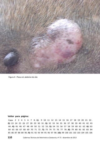 110 Cadernos Técnicos de Veterinária e Zootecnia, nº 71 - dezembro de 2013
Voltar para página:
Capa 2 3 4 5 6 7 8 . 1): 9 10 11 12 13 14 15 16 17 18 19 20 21 22 .
2): 23 24 25 26 27 28 29 30 31 . 3): 32 33 34 35 36 37 38 39 40 41 42 43
44 . 4): 45 46 47 48 49 50 51 52 53 . 5): 54 55 56 57 58 59 60 61 62 . 6): 63
64 65 66 67 68 69 70 71 72 . 7): 73 74 75 76 77 78 . 8): 79 80 81 82 83 84
85 86 87 88 89 90 . 9): 91 92 93 94 95 96 97 98 . 10): 99 100 101 102 103 104 105 106
Figura 4 - Placa em abdome de cão
 