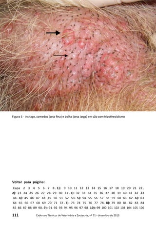 111 Cadernos Técnicos de Veterinária e Zootecnia, nº 71 - dezembro de 2013
Voltar para página:
Capa 2 3 4 5 6 7 8 . 1): 9 10 11 12 13 14 15 16 17 18 19 20 21 22 .
2): 23 24 25 26 27 28 29 30 31 . 3): 32 33 34 35 36 37 38 39 40 41 42 43
44 . 4): 45 46 47 48 49 50 51 52 53 . 5): 54 55 56 57 58 59 60 61 62 . 6): 63
64 65 66 67 68 69 70 71 72 . 7): 73 74 75 76 77 78 . 8): 79 80 81 82 83 84
85 86 87 88 89 90 . 9): 91 92 93 94 95 96 97 98 . 10): 99 100 101 102 103 104 105 106
Figura 5 - Inchaço, comedos (seta fina) e bolha (seta larga) em cão com hipotireoidismo
 