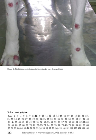 112 Cadernos Técnicos de Veterinária e Zootecnia, nº 71 - dezembro de 2013
Voltar para página:
Capa 2 3 4 5 6 7 8 . 1): 9 10 11 12 13 14 15 16 17 18 19 20 21 22 .
2): 23 24 25 26 27 28 29 30 31 . 3): 32 33 34 35 36 37 38 39 40 41 42 43
44 . 4): 45 46 47 48 49 50 51 52 53 . 5): 54 55 56 57 58 59 60 61 62 . 6): 63
64 65 66 67 68 69 70 71 72 . 7): 73 74 75 76 77 78 . 8): 79 80 81 82 83 84
85 86 87 88 89 90 . 9): 91 92 93 94 95 96 97 98 . 10): 99 100 101 102 103 104 105 106
Figura 6 - Nódulos em membros anteriores de cão com dermatofitose
 