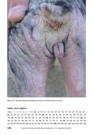 116 Cadernos Técnicos de Veterinária e Zootecnia, nº 71 - dezembro de 2013
Voltar para página:
Capa 2 3 4 5 6 7 8 . 1): 9 10 11 12 13 14 15 16 17 18 19 20 21 22 .
2): 23 24 25 26 27 28 29 30 31 . 3): 32 33 34 35 36 37 38 39 40 41 42 43
44 . 4): 45 46 47 48 49 50 51 52 53 . 5): 54 55 56 57 58 59 60 61 62 . 6): 63
64 65 66 67 68 69 70 71 72 . 7): 73 74 75 76 77 78 . 8): 79 80 81 82 83 84
85 86 87 88 89 90 . 9): 91 92 93 94 95 96 97 98 . 10): 99 100 101 102 103 104 105 106
Figura 10 - Descamação generalizada em cão com leishmaniose visceral
 