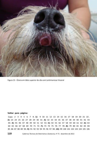 119 Cadernos Técnicos de Veterinária e Zootecnia, nº 71 - dezembro de 2013
Voltar para página:
Capa 2 3 4 5 6 7 8 . 1): 9 10 11 12 13 14 15 16 17 18 19 20 21 22 .
2): 23 24 25 26 27 28 29 30 31 . 3): 32 33 34 35 36 37 38 39 40 41 42 43
44 . 4): 45 46 47 48 49 50 51 52 53 . 5): 54 55 56 57 58 59 60 61 62 . 6): 63
64 65 66 67 68 69 70 71 72 . 7): 73 74 75 76 77 78 . 8): 79 80 81 82 83 84
85 86 87 88 89 90 . 9): 91 92 93 94 95 96 97 98 . 10): 99 100 101 102 103 104 105 106
Figura 13 - Úlcera em lábio superior de cão com Leishmaniose Visceral
 