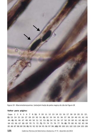 125 Cadernos Técnicos de Veterinária e Zootecnia, nº 71 - dezembro de 2013
Voltar para página:
Capa 2 3 4 5 6 7 8 . 1): 9 10 11 12 13 14 15 16 17 18 19 20 21 22 .
2): 23 24 25 26 27 28 29 30 31 . 3): 32 33 34 35 36 37 38 39 40 41 42 43
44 . 4): 45 46 47 48 49 50 51 52 53 . 5): 54 55 56 57 58 59 60 61 62 . 6): 63
64 65 66 67 68 69 70 71 72 . 7): 73 74 75 76 77 78 . 8): 79 80 81 82 83 84
85 86 87 88 89 90 . 9): 91 92 93 94 95 96 97 98 . 10): 99 100 101 102 103 104 105 106
Figura 19 - Macromelanossomas (setas)em haste de pelos negros do cão da Figura 18
 