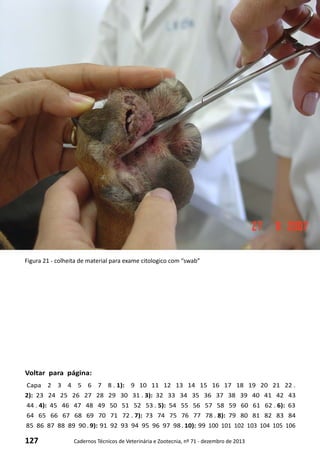 127 Cadernos Técnicos de Veterinária e Zootecnia, nº 71 - dezembro de 2013
Voltar para página:
Capa 2 3 4 5 6 7 8 . 1): 9 10 11 12 13 14 15 16 17 18 19 20 21 22 .
2): 23 24 25 26 27 28 29 30 31 . 3): 32 33 34 35 36 37 38 39 40 41 42 43
44 . 4): 45 46 47 48 49 50 51 52 53 . 5): 54 55 56 57 58 59 60 61 62 . 6): 63
64 65 66 67 68 69 70 71 72 . 7): 73 74 75 76 77 78 . 8): 79 80 81 82 83 84
85 86 87 88 89 90 . 9): 91 92 93 94 95 96 97 98 . 10): 99 100 101 102 103 104 105 106
Figura 21 - colheita de material para exame citologico com “swab”
 