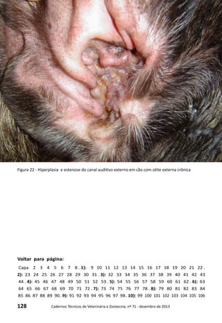 128 Cadernos Técnicos de Veterinária e Zootecnia, nº 71 - dezembro de 2013
Voltar para página:
Capa 2 3 4 5 6 7 8 . 1): 9 10 11 12 13 14 15 16 17 18 19 20 21 22 .
2): 23 24 25 26 27 28 29 30 31 . 3): 32 33 34 35 36 37 38 39 40 41 42 43
44 . 4): 45 46 47 48 49 50 51 52 53 . 5): 54 55 56 57 58 59 60 61 62 . 6): 63
64 65 66 67 68 69 70 71 72 . 7): 73 74 75 76 77 78 . 8): 79 80 81 82 83 84
85 86 87 88 89 90 . 9): 91 92 93 94 95 96 97 98 . 10): 99 100 101 102 103 104 105 106
Figura 22 - Hiperplasia e estenose do canal auditivo externo em cão com otite externa crônica
 