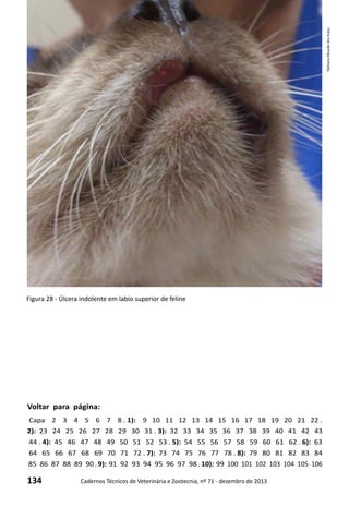 134 Cadernos Técnicos de Veterinária e Zootecnia, nº 71 - dezembro de 2013
Voltar para página:
Capa 2 3 4 5 6 7 8 . 1): 9 10 11 12 13 14 15 16 17 18 19 20 21 22 .
2): 23 24 25 26 27 28 29 30 31 . 3): 32 33 34 35 36 37 38 39 40 41 42 43
44 . 4): 45 46 47 48 49 50 51 52 53 . 5): 54 55 56 57 58 59 60 61 62 . 6): 63
64 65 66 67 68 69 70 71 72 . 7): 73 74 75 76 77 78 . 8): 79 80 81 82 83 84
85 86 87 88 89 90 . 9): 91 92 93 94 95 96 97 98 . 10): 99 100 101 102 103 104 105 106
Figura 28 - Úlcera indolente em labio superior de feline
TathianaMourãodosAnjos
 