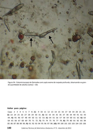 140 Cadernos Técnicos de Veterinária e Zootecnia, nº 71 - dezembro de 2013
Voltar para página:
Capa 2 3 4 5 6 7 8 . 1): 9 10 11 12 13 14 15 16 17 18 19 20 21 22 .
2): 23 24 25 26 27 28 29 30 31 . 3): 32 33 34 35 36 37 38 39 40 41 42 43
44 . 4): 45 46 47 48 49 50 51 52 53 . 5): 54 55 56 57 58 59 60 61 62 . 6): 63
64 65 66 67 68 69 70 71 72 . 7): 73 74 75 76 77 78 . 8): 79 80 81 82 83 84
85 86 87 88 89 90 . 9): 91 92 93 94 95 96 97 98 . 10): 99 100 101 102 103 104 105 106
Figura 34 - Fotomicroscopia de Demodex canis após exame de raspado profundo, observando-se gran-
de quantidade de adultos (setas) – 10x
 