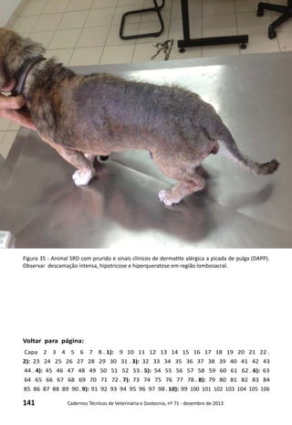 141 Cadernos Técnicos de Veterinária e Zootecnia, nº 71 - dezembro de 2013
Voltar para página:
Capa 2 3 4 5 6 7 8 . 1): 9 10 11 12 13 14 15 16 17 18 19 20 21 22 .
2): 23 24 25 26 27 28 29 30 31 . 3): 32 33 34 35 36 37 38 39 40 41 42 43
44 . 4): 45 46 47 48 49 50 51 52 53 . 5): 54 55 56 57 58 59 60 61 62 . 6): 63
64 65 66 67 68 69 70 71 72 . 7): 73 74 75 76 77 78 . 8): 79 80 81 82 83 84
85 86 87 88 89 90 . 9): 91 92 93 94 95 96 97 98 . 10): 99 100 101 102 103 104 105 106
Figura 35 - Animal SRD com prurido e sinais clínicos de dermatite alérgica a picada de pulga (DAPP).
Observar descamação intensa, hipotricose e hiperqueratose em região lombosacral.
 