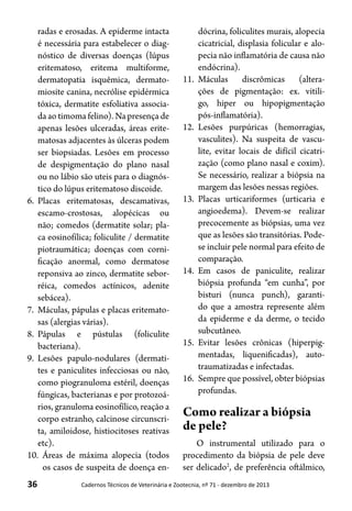 36 Cadernos Técnicos de Veterinária e Zootecnia, nº 71 - dezembro de 2013
radas e erosadas. A epiderme intacta
é necessária para estabelecer o diag-
nóstico de diversas doenças (lúpus
eritematoso, eritema multiforme,
dermatopatia isquêmica, dermato-
miosite canina, necrólise epidérmica
tóxica, dermatite esfoliativa associa-
da ao timoma felino). Na presença de
apenas lesões ulceradas, áreas erite-
matosas adjacentes às úlceras podem
ser biopsiadas. Lesões em processo
de despigmentação do plano nasal
ou no lábio são uteis para o diagnós-
tico do lúpus eritematoso discoide.
6.	 Placas eritematosas, descamativas,
escamo-crostosas, alopécicas ou
não; comedos (dermatite solar; pla-
ca eosinofílica; foliculite / dermatite
piotraumática; doenças com corni-
ficação anormal, como dermatose
reponsiva ao zinco, dermatite sebor-
réica, comedos actínicos, adenite
sebácea).
7.	 Máculas, pápulas e placas eritemato-
sas (alergias várias).
8.	 Pápulas e pústulas (foliculite
bacteriana).
9.	 Lesões papulo-nodulares (dermati-
tes e paniculites infecciosas ou não,
como piogranuloma estéril, doenças
fúngicas, bacterianas e por protozoá-
rios, granuloma eosinofílico, reação a
corpo estranho, calcinose circunscri-
ta, amiloidose, histiocitoses reativas
etc).
10.	 Áreas de máxima alopecia (todos
os casos de suspeita de doença en-
dócrina, foliculites murais, alopecia
cicatricial, displasia folicular e alo-
pecia não inflamatória de causa não
endócrina).
11.	 Máculas discrômicas (altera-
ções de pigmentação: ex. vitili-
go, hiper ou hipopigmentação
pós-inflamatória).
12.	 Lesões purpúricas (hemorragias,
vasculites). Na suspeita de vascu-
lite, evitar locais de difícil cicatri-
zação (como plano nasal e coxim).
Se necessário, realizar a biópsia na
margem das lesões nessas regiões.
13.	 Placas urticariformes (urticaria e
angioedema). Devem-se realizar
precocemente as biópsias, uma vez
que as lesões são transitórias. Pode-
se incluir pele normal para efeito de
comparação.
14.	 Em casos de paniculite, realizar
biópsia profunda “em cunha”, por
bisturi (nunca punch), garanti-
do que a amostra represente além
da epiderme e da derme, o tecido
subcutâneo.
15.	 Evitar lesões crônicas (hiperpig-
mentadas, liquenificadas), auto-
traumatizadas e infectadas.
16.	 Sempre que possível, obter biópsias
profundas.
Como realizar a biópsia
de pele?
O instrumental utilizado para o
procedimento da biópsia de pele deve
ser delicado2
, de preferência oftálmico,
 
